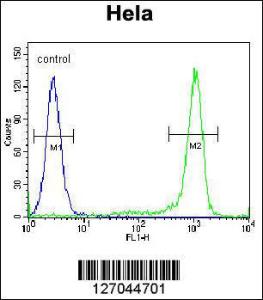 Anti-KLF17 Rabbit Polyclonal Antibody (AP (Alkaline Phosphatase))