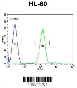 Anti-MPO Rabbit Polyclonal Antibody (AP (Alkaline Phosphatase))