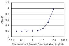 Anti-SGCG Antibody Pair