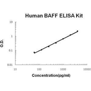 BSBTEK0663 - HUMAN BAFF PICOKINE ELISA KIT