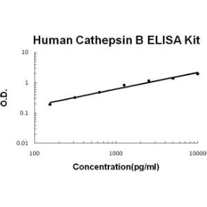 BSBTEK0670 - HUMAN CATHEPSIN B PICOKINE ELISA KIT