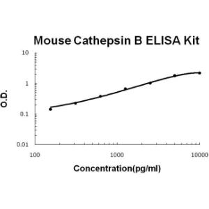 BSBTEK0671 - MOUSE CATHEPSIN B PICOKINE ELISA KIT