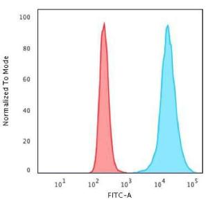 Antibody anti-HISTONE H1 100 µg