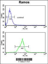 Anti-MME Rabbit Polyclonal Antibody (AP (Alkaline Phosphatase))