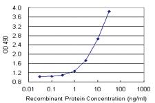 Anti-DFFA Antibody Pair