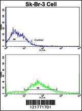 Anti-ITGAX Rabbit Polyclonal Antibody (AP (Alkaline Phosphatase))