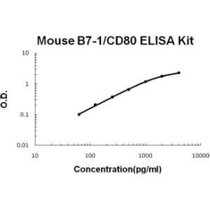 BSBTEK0708 - MOUSE B7-1/CD80 PICOKINE ELISA KIT