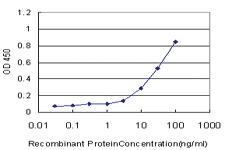 Anti-TLR7 Mouse Monoclonal Antibody [clone: 3G6]