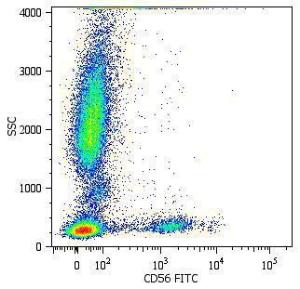 Antibody anti-CD56 MEM-188 FITC