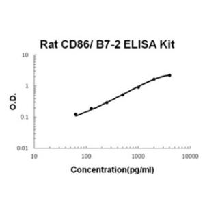 BSBTEK0712 - RAT CD86/B7-2 PICOKINE ELISA KIT