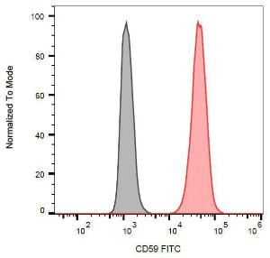 Surface staining of HL-60 (positive) and SP2 (negative) cells with Anti-CD59 Antibody (A85985)