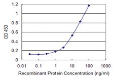 Anti-CBFA2T2 Mouse Monoclonal Antibody [clone: 2C10]