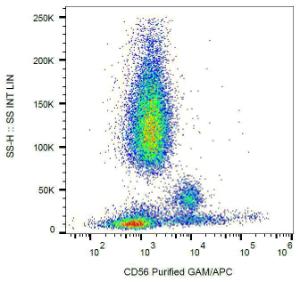 Surface staining of human peripheral blood lymphocytes with Anti-CD56 Antibody (A85988)