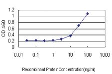 Anti-TLR7 Mouse Monoclonal Antibody [clone: 2C9]