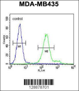 Anti-OR6V1 Rabbit Polyclonal Antibody