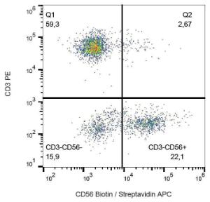 Surface staining of human peripheral blood lymphocytes with Anti-CD56 Antibody (A85991)