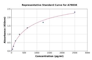 Representative standard curve for Rat IL-19 ELISA kit (A79838)