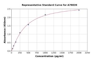 Representative standard curve for Rat IL-20 ELISA kit (A79839)