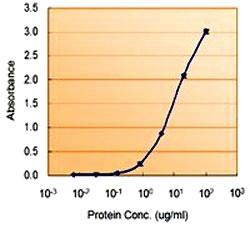 Anti-MIF Goat Polyclonal Antibody