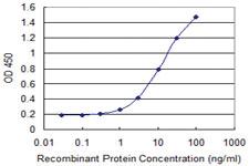 Anti-PER3 Mouse Monoclonal Antibody [clone: 3A7]