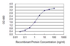 Anti-ZMAT4 Polyclonal Antibody Pair