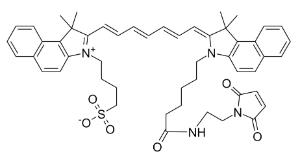 Ic g maleimide 187 1 mg