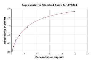 Representative standard curve for Rat CXCR4 ELISA kit (A79841)