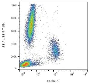 Surface staining of human peripheral blood cells with Anti-CD86 Antibody (A85995)