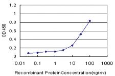 Anti-TLR7 Mouse Monoclonal Antibody [clone: 1G8]