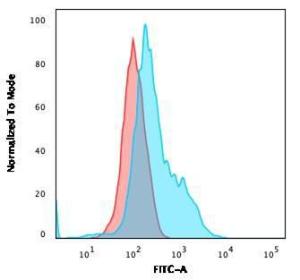 Flow cytometric analysis of PFA fixed HeLa cells using Anti-Annexin A1 Antibody [6E4/3] followed by Goat Anti-Mouse IgG (CF and #174; 488) (Blue). Isotype Control (Red)