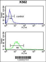 Anti-GPR50 Rabbit Polyclonal Antibody (APC (Allophycocyanin))