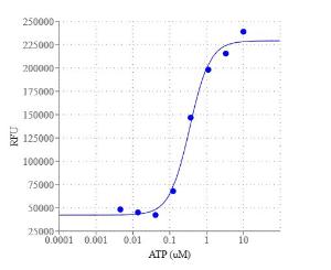 Cell meter/trade no 36312