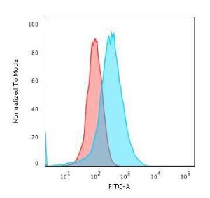 Anti-Annexin A1 Mouse Monoclonal Antibody [clone: 5E4/1]