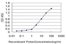 Anti-PEAK1 Mouse Monoclonal Antibody [clone: 3E7]