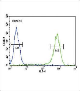 Anti-SFN Rabbit Polyclonal Antibody (APC (Allophycocyanin))