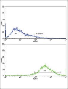 Anti-SELL Rabbit Polyclonal Antibody (AP (Alkaline Phosphatase))