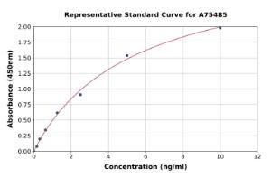 Representative standard curve for Human Hsp40 ELISA kit (A75485)