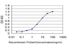 Anti-PEAK1 Mouse Monoclonal Antibody [clone: 3G6]