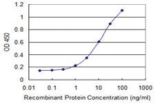 Anti-MOXD1 Mouse Monoclonal Antibody [clone: 2C9]