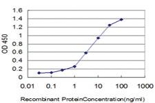 Anti-PEAK1 Mouse Monoclonal Antibody [clone: 1G9]