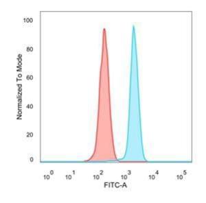 Antibody anti-MXI1 pcrp-MXI1-1A3 100 µg