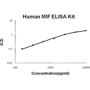 BSBTEK0813 - HUMAN MIF PICOKINE ELISA KIT