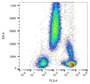 Surface staining of human peripheral blood with Anti-CD48 Antibody (A86027).