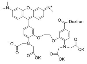 Rhod-2 dextran conju 20451 1 mg