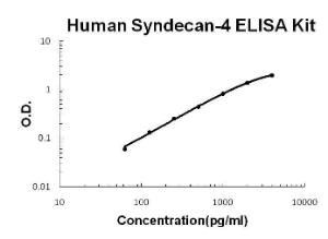 BSBTEK1356 - []ANTI-SIRT6 ANTIBODY