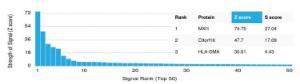 Antibody anti-MXI1 pcrp-MXI1-1A3 100 µg