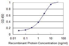 Anti-DFFA Mouse Monoclonal Antibody [clone: 3A11]