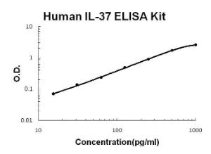 BSBTEK1363 - []ANTI-SIRT6 ANTIBODY