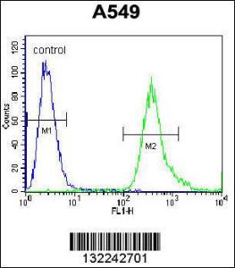 Anti-SLC25A6 Rabbit Polyclonal Antibody (APC (Allophycocyanin))