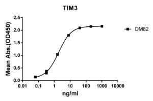 ELISA plate pre-coated by 2 µg/ml (100 µl/well) Recombinant Human TIM 3 Protein (Fc Chimera 6xHis Tag) (A318378) can bind Anti-TIM 3 Antibody [DM82] - Azide free (A317376) in a linear range of 0.32-40 ng/ml